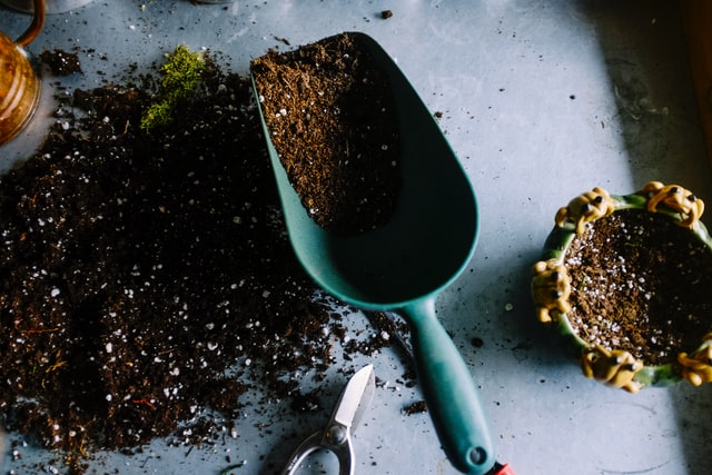 Tuinkalender mei - Tuintips voor onderhoud tuin