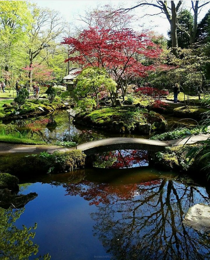Wanneer is de Japanse tuin in Clingendael open?