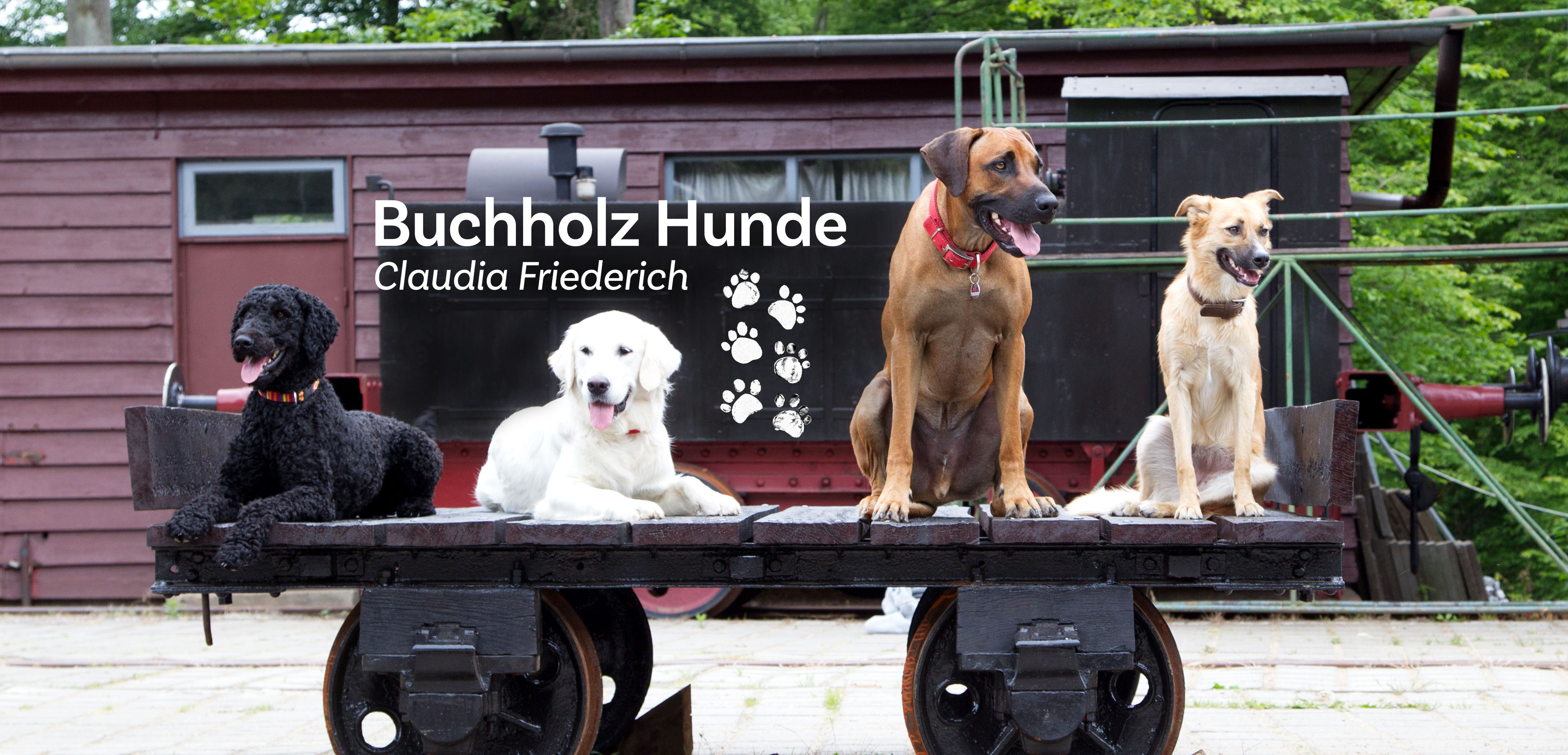 (c) Buchholz-hunde.de