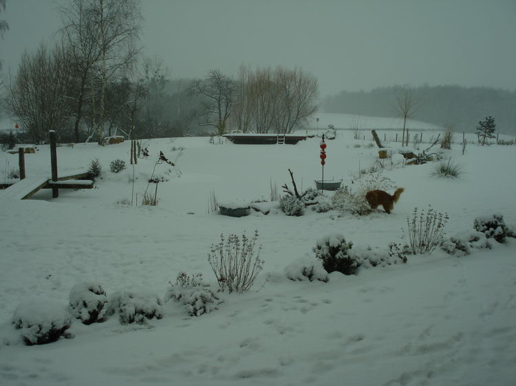 Derweil schneit es herrlich