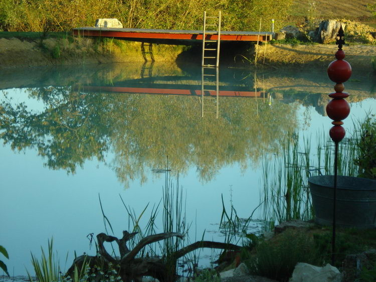 Der Ponton am Schwimmteich