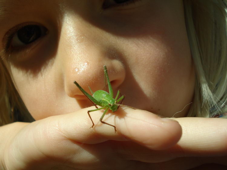 Zora mit einem Grashüpfer