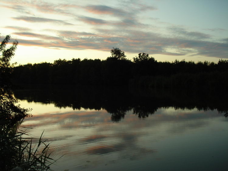 Abendstimmung an der Seille
