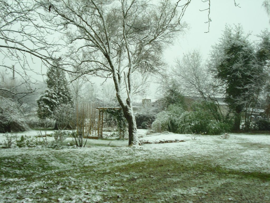 Ein bisschen Schnee im Garten