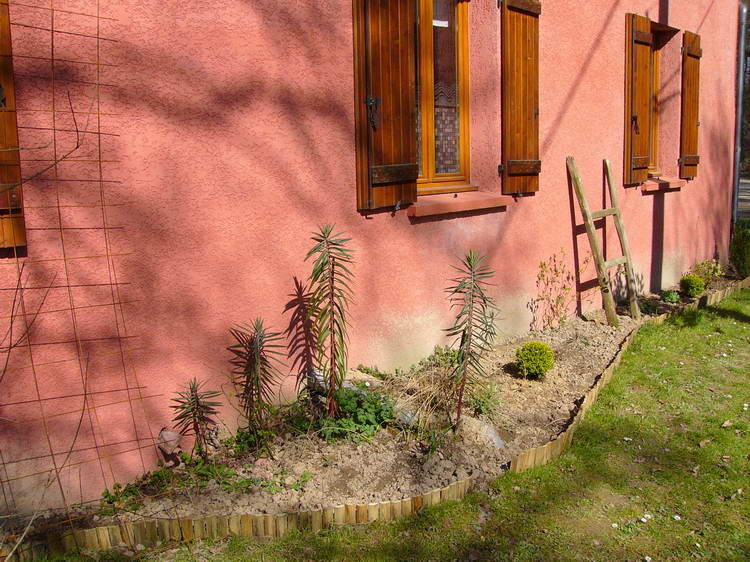 An der Südmauer entsteht ein Blumenbeet