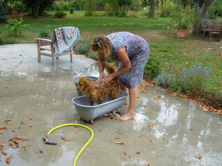 Zorro muss gebadet werden