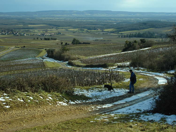 Spaziergang in den Weinbergen bei Buxy