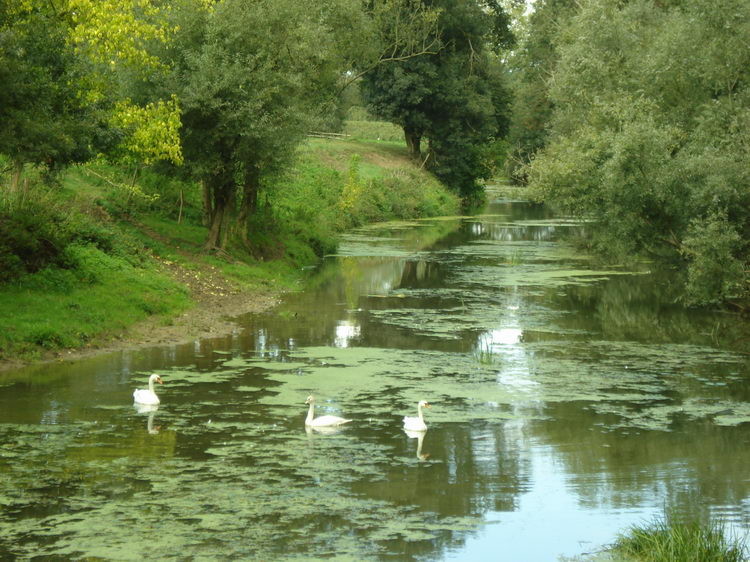 La Seille