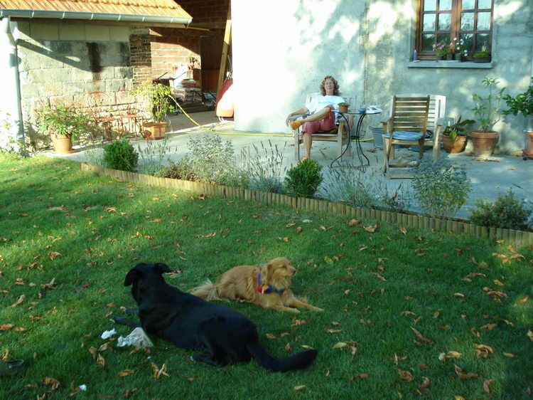 Henny geniesst den Schatten auf der Terrasse