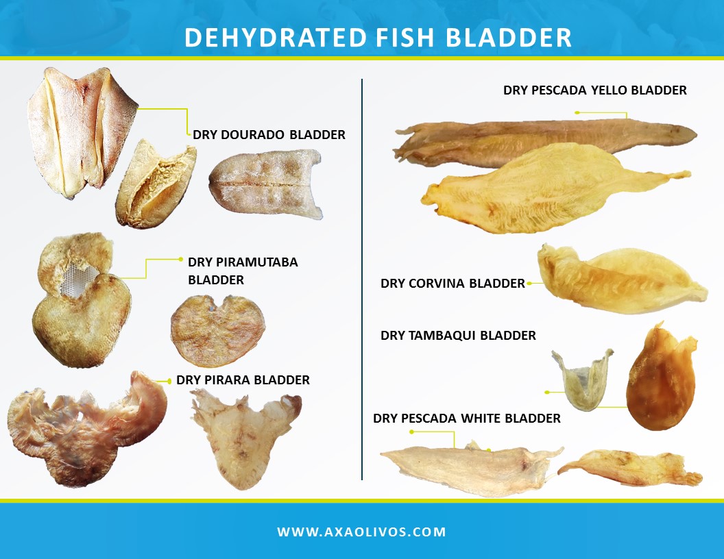 FISH BLADDER Special products of amanazonas, Dry and frozen amazon