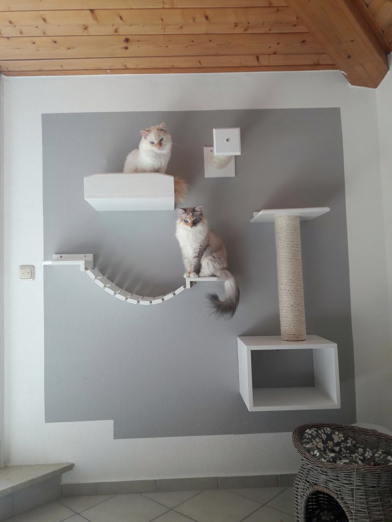 Katzenbaum für große Katzen / Kratzbaum für die Wand ...