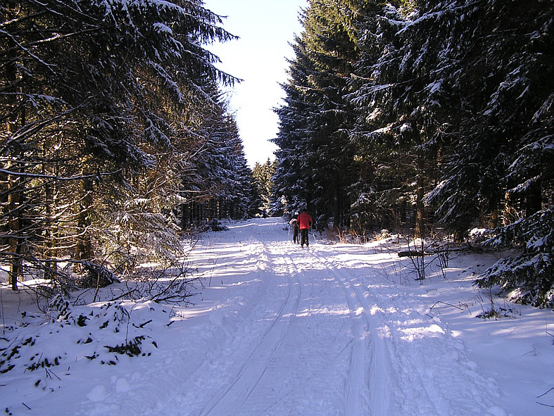 Rhönwaldloipe 7. März 2010