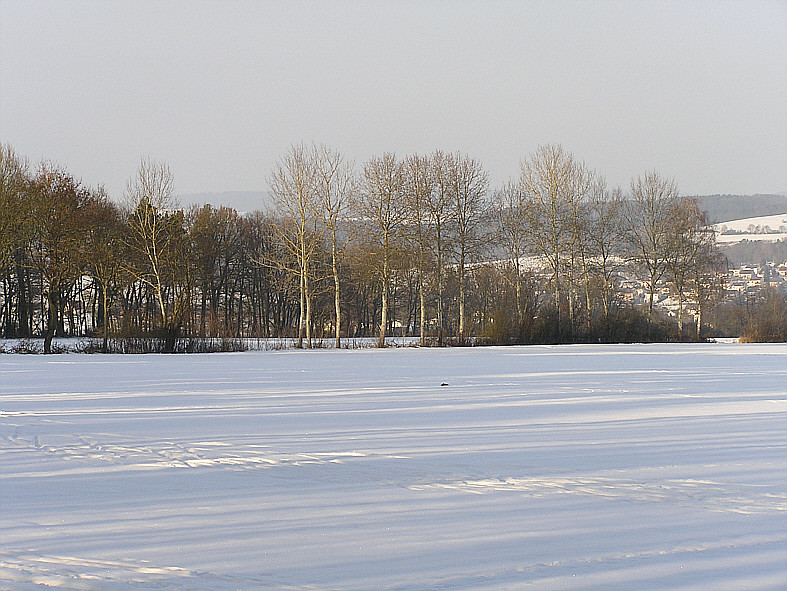 Spätnachmittagsstimmung am Rudolphshaner Wald