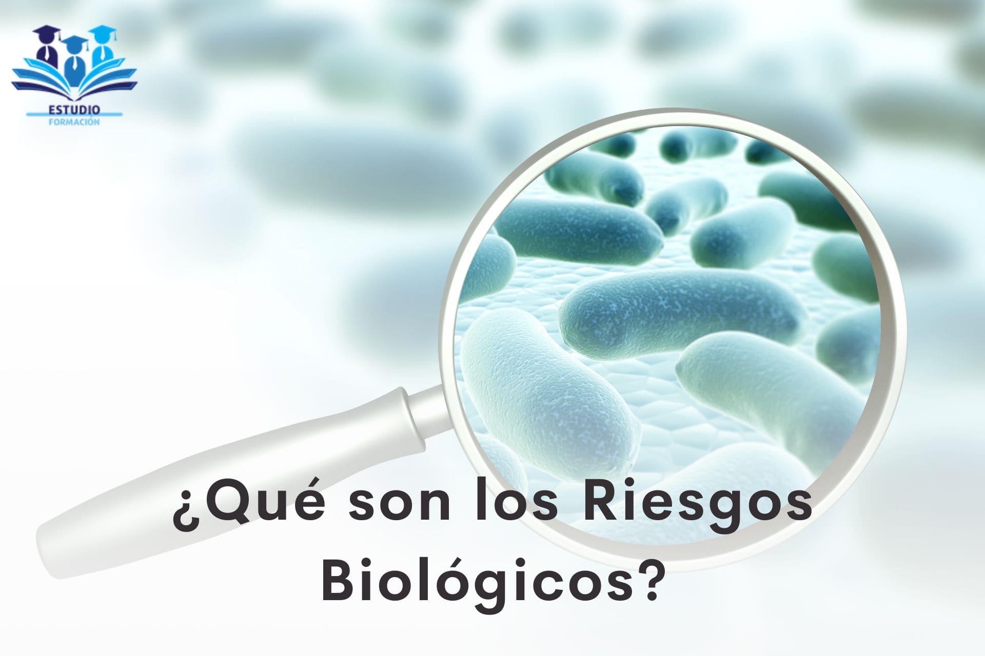 ▷ ¿Qué son los riesgos biológicos?