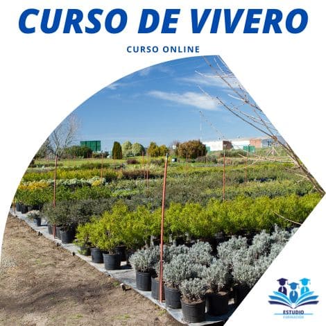 ▷  CURSO DE VIVERO