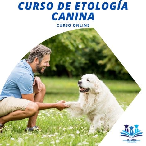 CURSO DE ETOLOGÍA CANINA