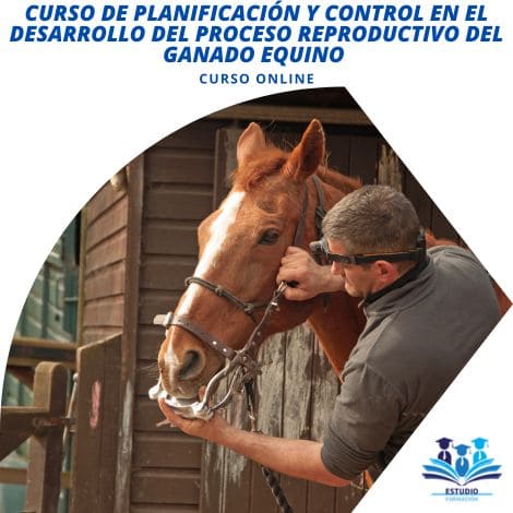 ▷ Curso Online de Planificación y Control en el Desarrollo del Proceso Reproductivo del Ganado Equino