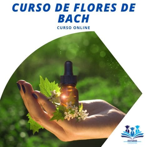 CURSO DE FLORES DE BACH