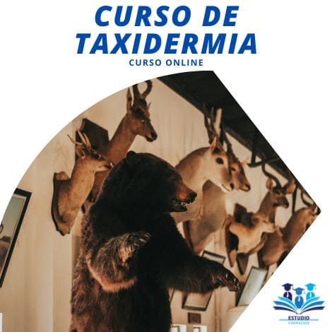 ▷ CURSO DE TAXIDERMIA
