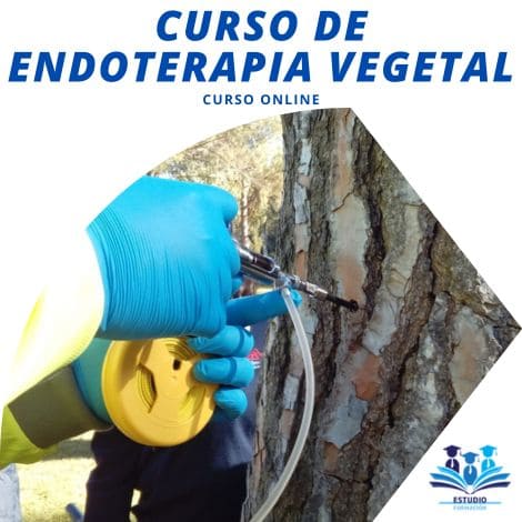 ▷ CURSO DE ENDOTERAPIA VEGETAL