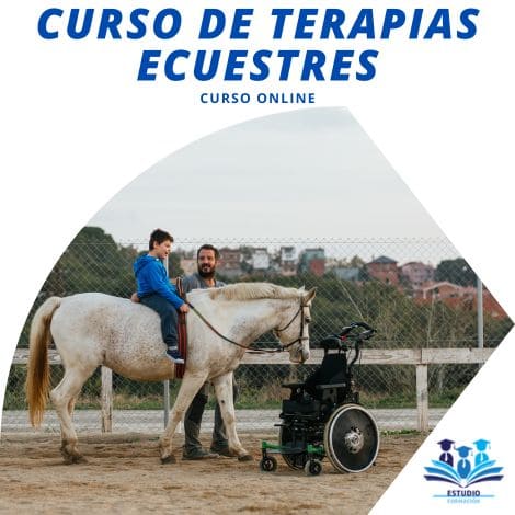 ▷ Curso de Terapias Ecuestres Online Titulación Certificada