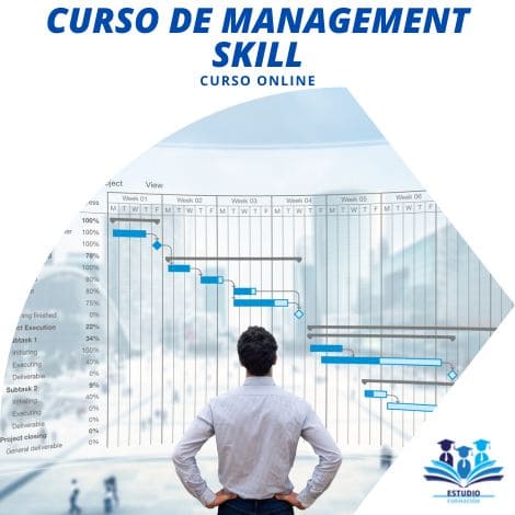 CURSO DE MANAGEMENT SKILLS