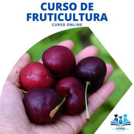 curso de fruticultura