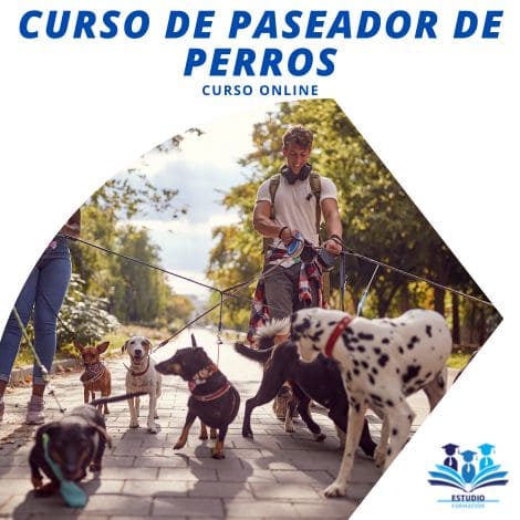 ▷ CURSO DE PASEADOR DE PERROS