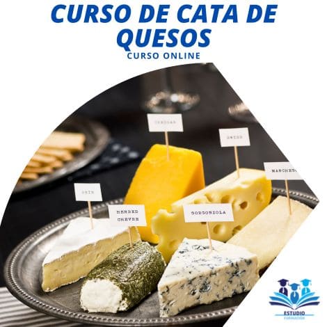 ▷ CURSO DE CATA DE QUESO