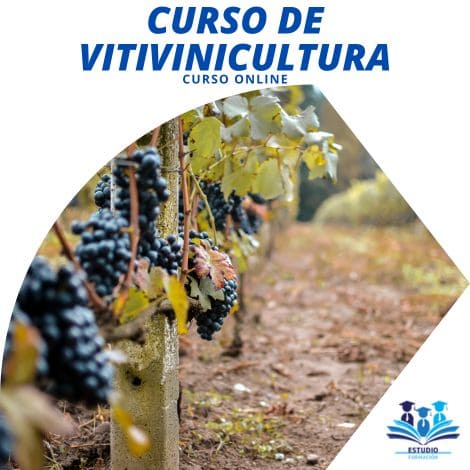▷ Curso de Vitivinicultura