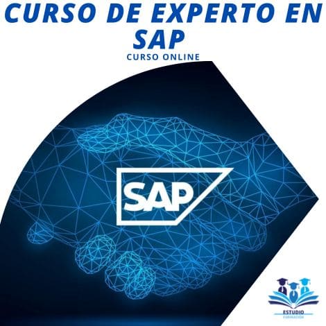▷ CURSO DE EXPERTO EN SAP