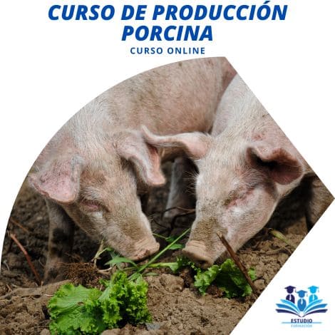 ▷  CURSO DE PRODUCCIÓN PORCINA