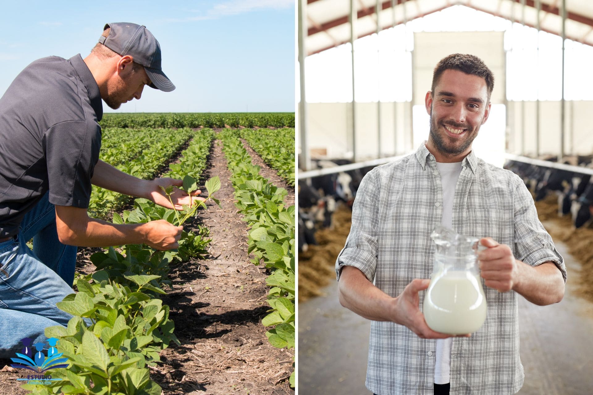 ▷ Cursos de Agricultura y Ganadería