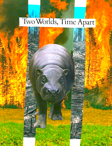 Collage by Shelley Klammer