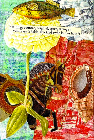 Found Poetry Collage by Shelley Klammer