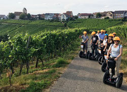 Segways unterwegs im Markgräflerland