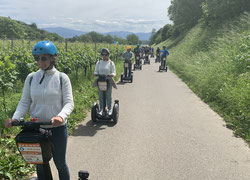 Mit dem Winzermeister am Kaiserstuhl