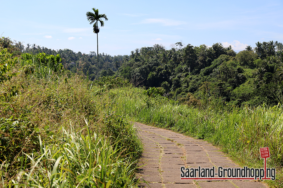 Campuhan Ridge Walk Ubud | Bali | Indonesien
