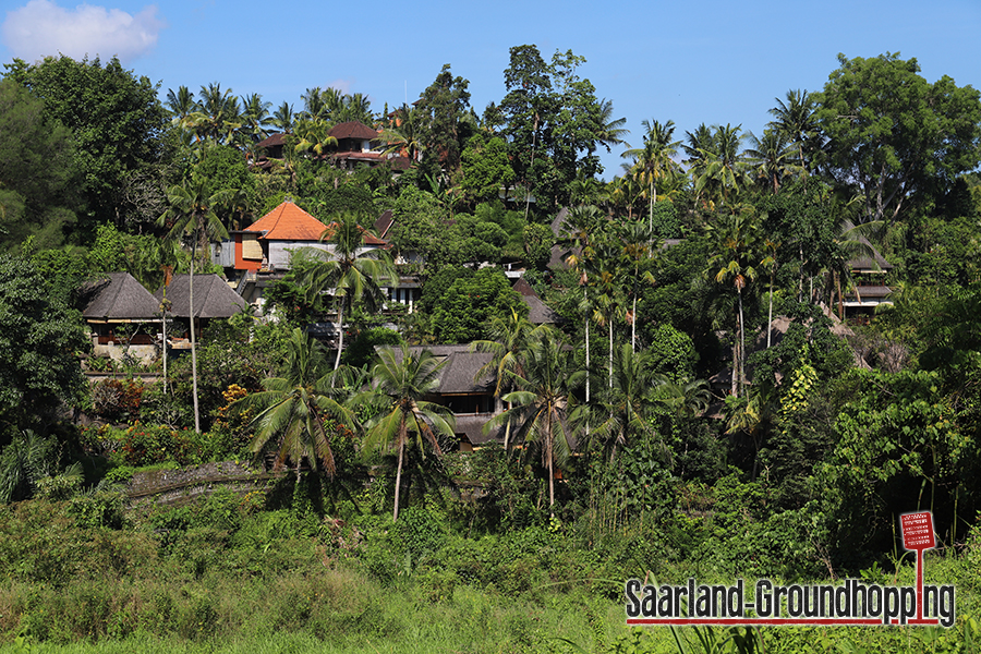 Campuhan Ridge Walk Ubud | Bali | Indonesien