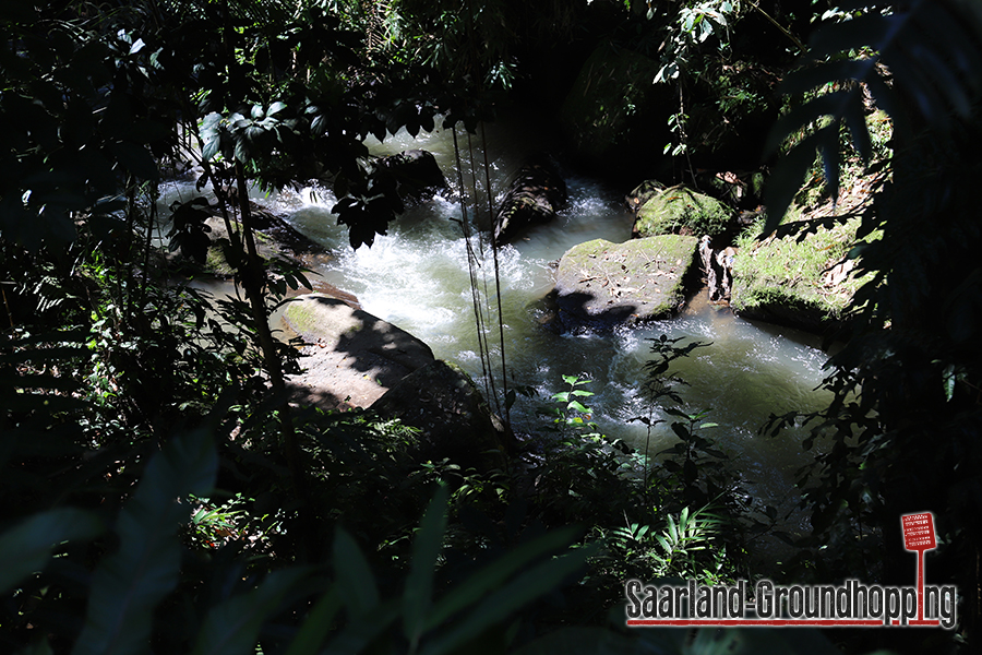 Campuhan Ridge Walk Ubud | Bali | Indonesien