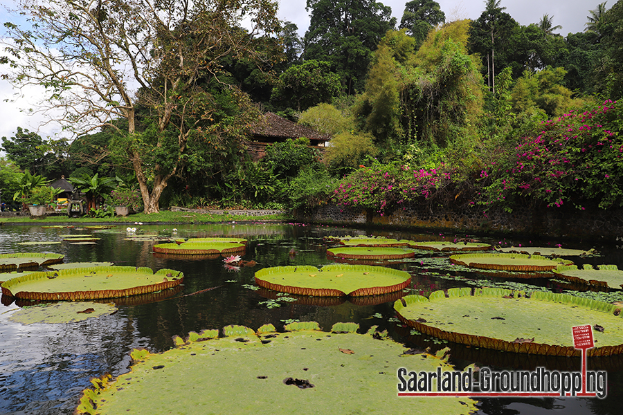 Taman Tirta Gangga Karangasem | Bali | Indonesien