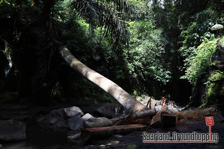 Air Terjun Kanto Lampo | Bali | Indonesien