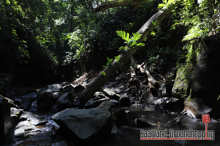 Air Terjun Kanto Lampo | Bali | Indonesien