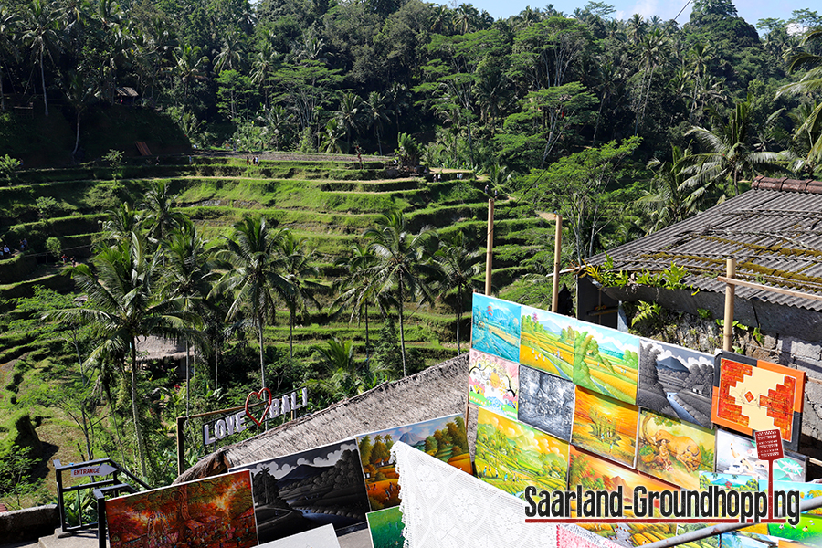 Reisterrassen Tegalalang | Bali | Indonesien