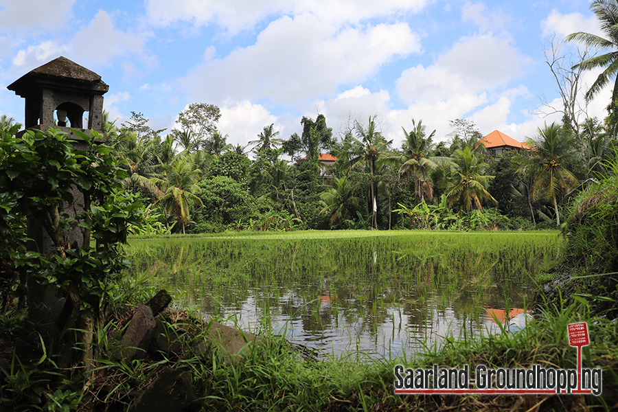 Yeh Pulu Historic Site | Bali | Indonesien