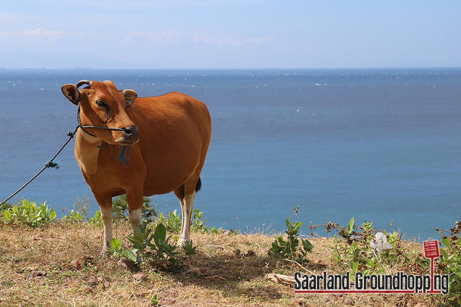 Pantai Gili Selang | Bali | Indonesien