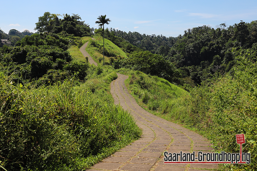 Campuhan Ridge Walk Ubud | Bali | Indonesien