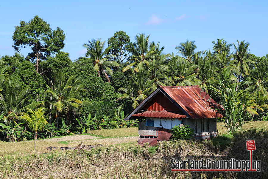 Kajeng Rice Field Walk Ubud | Bali | Indonesien