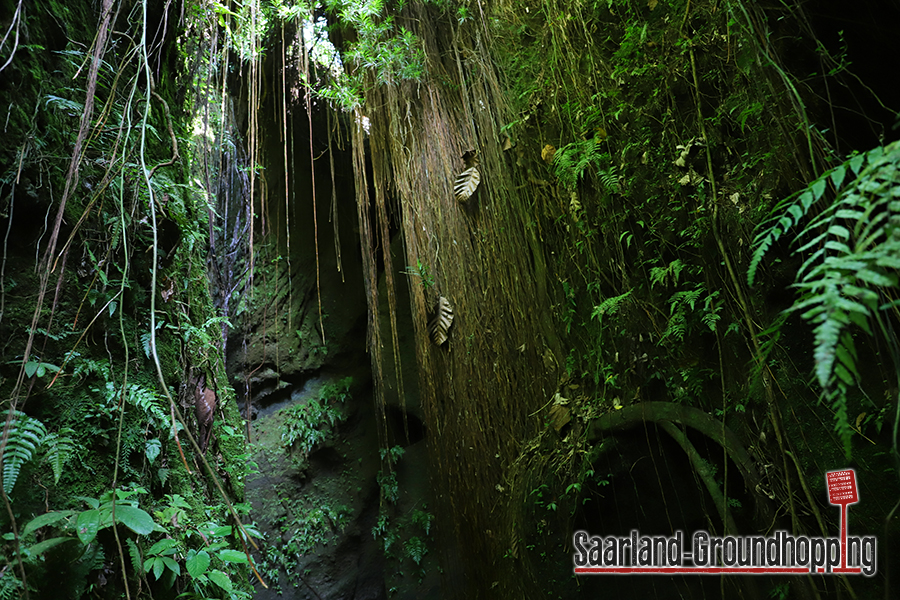 Air Terjun Beji Griya | Bali | Indonesien