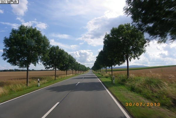 Deutsche Alleenstraße